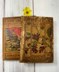 Vintage Books, Primary Readers with  Illustrations, Early 1900's Book Stack Risers, Photo Prop