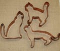 3 Martha Stewart by Mail Cat Cookie Cutters