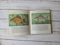 Fish of Ukrainian reservoirs in vintage book with colored Illustrations - Reference illustrated book - Animals wall art decor