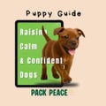 Puppy Guide – Raising Calm and Confident Dogs + Printable Puppy Day Planner | Digital Download PDF