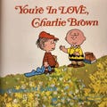 You're In Love Charlie Brown Book 1968 First Edition By Charles M. Schulz