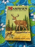 Vintage 1955 Mammals Golden Nature Guide Reference Book