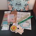 Basic Bible Study bundle Green/blue
