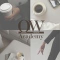 Online Wealth Academy digital course with Master Resell Rights | Earn 497 euro per sale | Lifetime access | Multilingual version