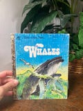 Whales little golden book