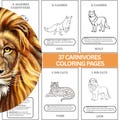 Carnivores animals coloring pages, preschool coloring sheets, animals coloring pages, kindergarten coloring activity, instant download