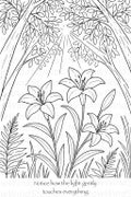 Lily Trail – A Journey into Calm and Beauty