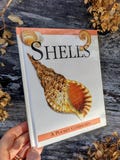 Sea shells Guide Book  -  Vintage Nature Guide