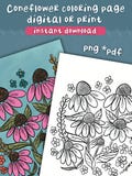 Coneflower Coloring Page Printable – Wildflower Coloring Sheet for Adults & Kids – Botanical Line Art Digital Download