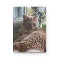 Hardcover Journal Matte, Fluffy Orange Kitty Workbook, Cat Lover Gift, Writing Journal, Composition Notebook, Cute Animal Diary