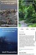 Misunderstandings of a Broken Soul