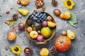 Gluten-Free Fall Recipe Collection
